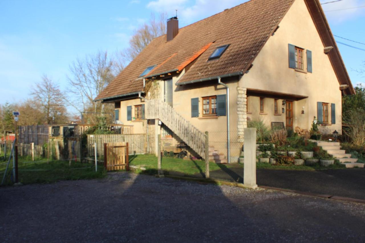 Gites Riviere Et Colline Niedermodern Exterior photo